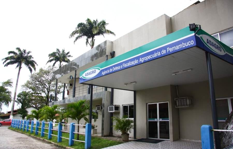 Sem indicação política, Raquel já tem nome para presidir a Adagro