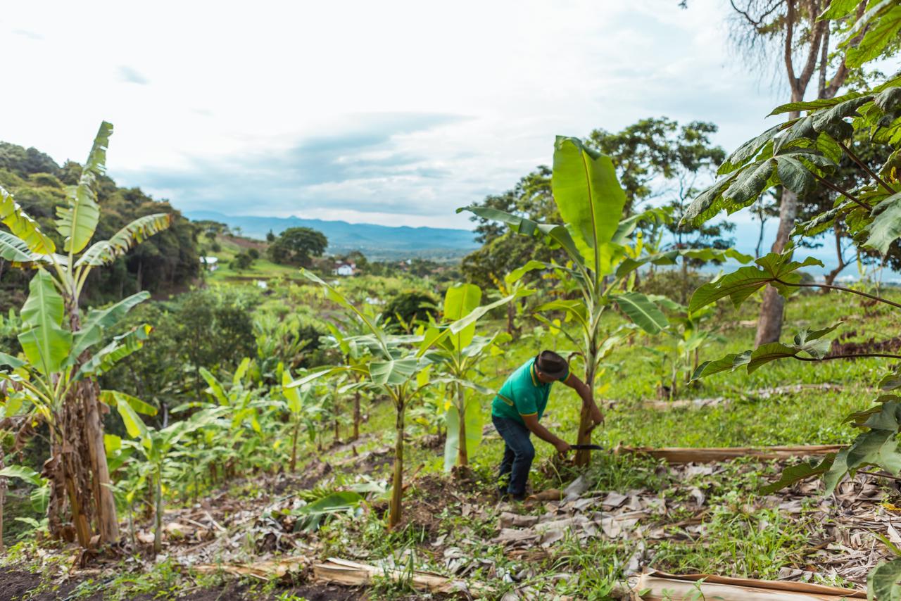 Sindicato rebate criação de novas associações com “interesse político” em Caruaru