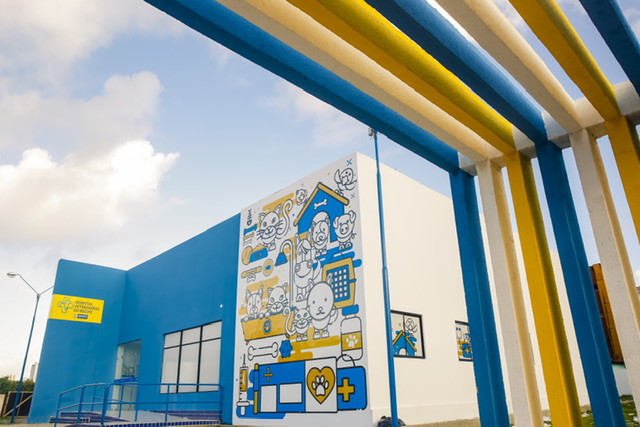 Hospital Veterinário do Recife amplia funcionamento e fortalece bem-estar animal