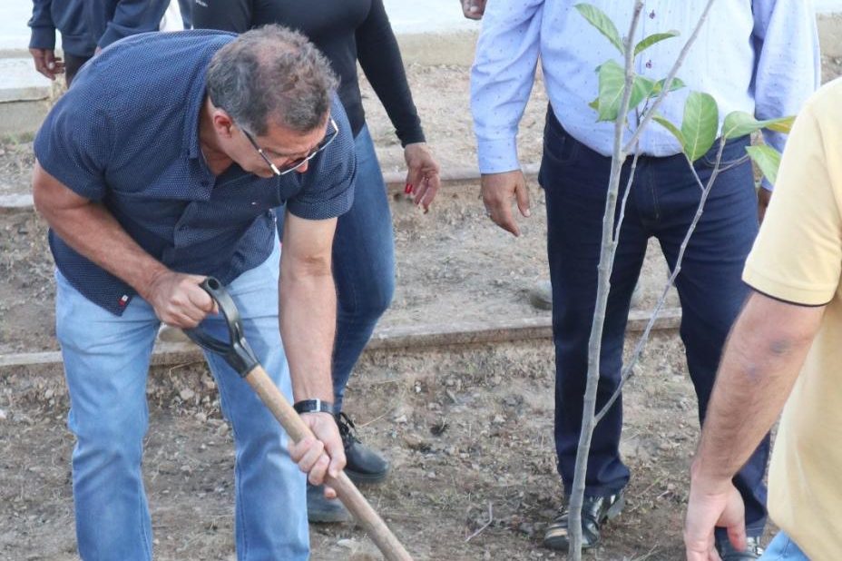 Prefeito Wellington planta árvores ao lado de alunos da rede municipal