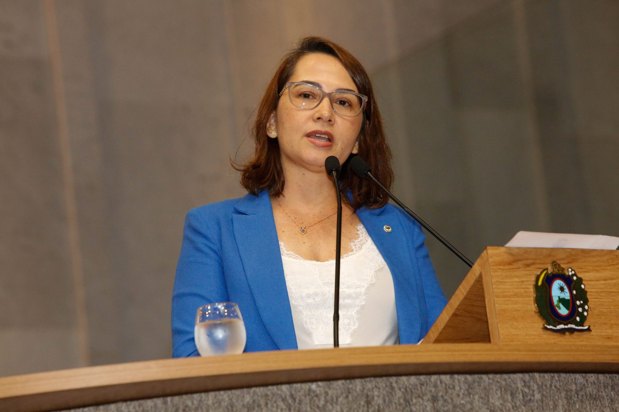 Audiência pública na Alepe debate situação da gripe aviária