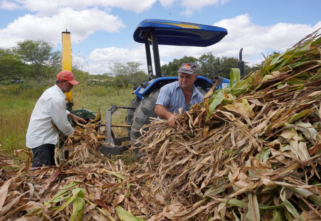 Prefeitura de Caruaru inicia Programa Municipal de Silagem