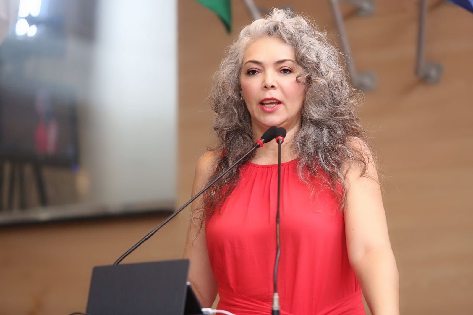 Liana diz que discussão para proibir casamento homoafetivo é ‘cortina de fumaça’ para escândalos das joias