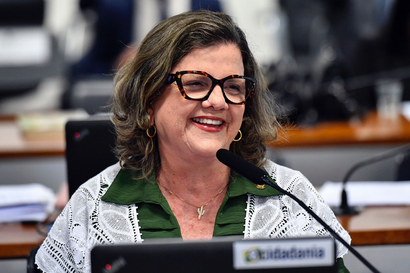 Comissão do Senado aprova PL do Programa Agente Jovem Ambiental