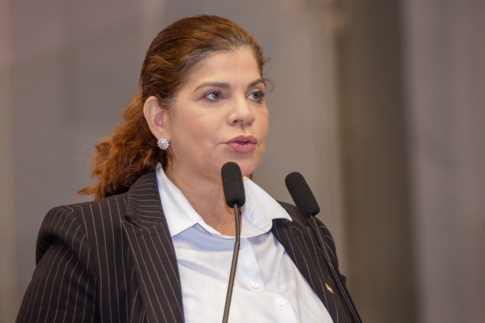 Socorro Pimentel defende fortalecimento do Polo Gesseiro do Araripe