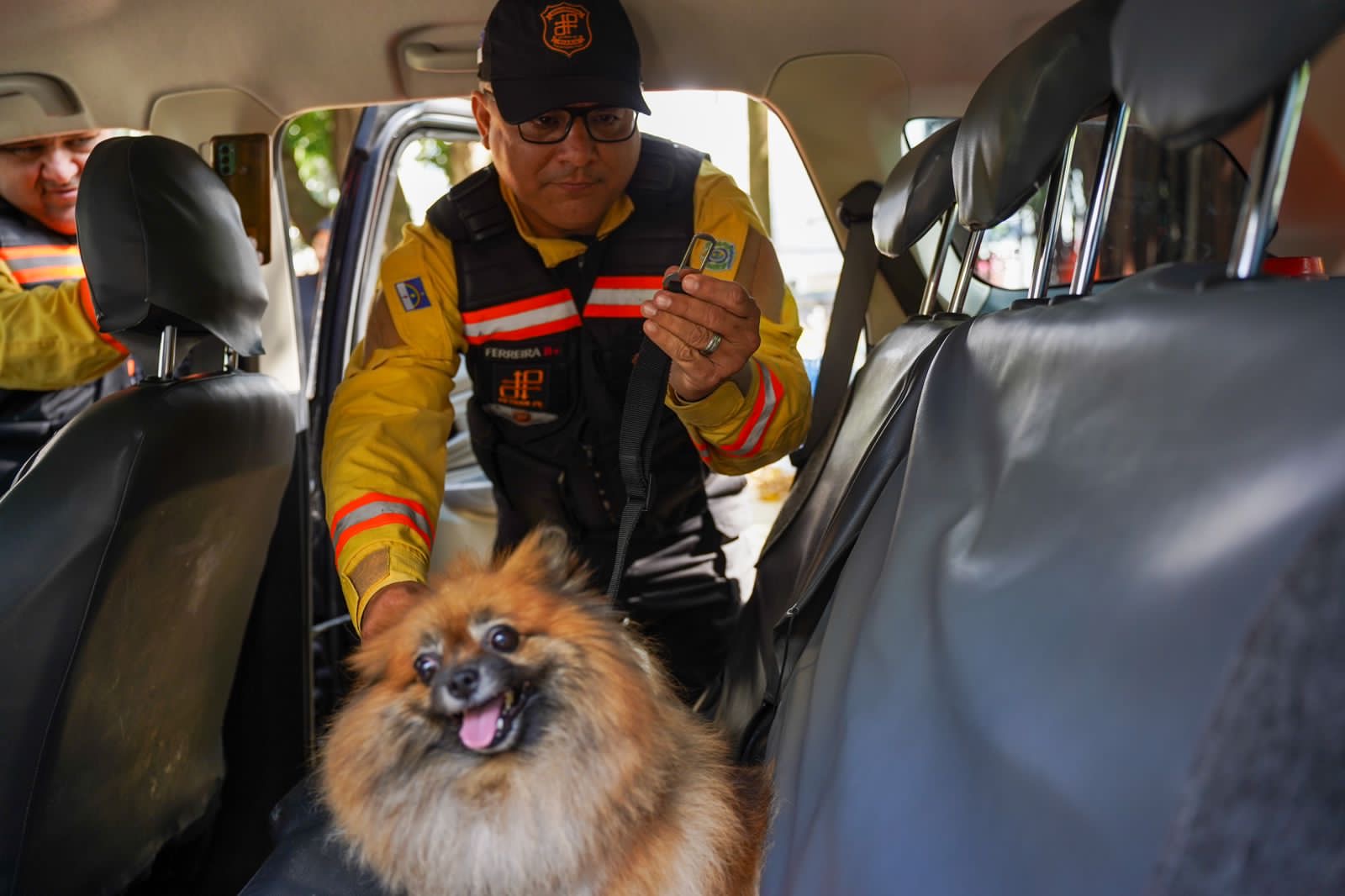 Detran-PE realiza ação de educação exclusiva para motoristas donos de pets