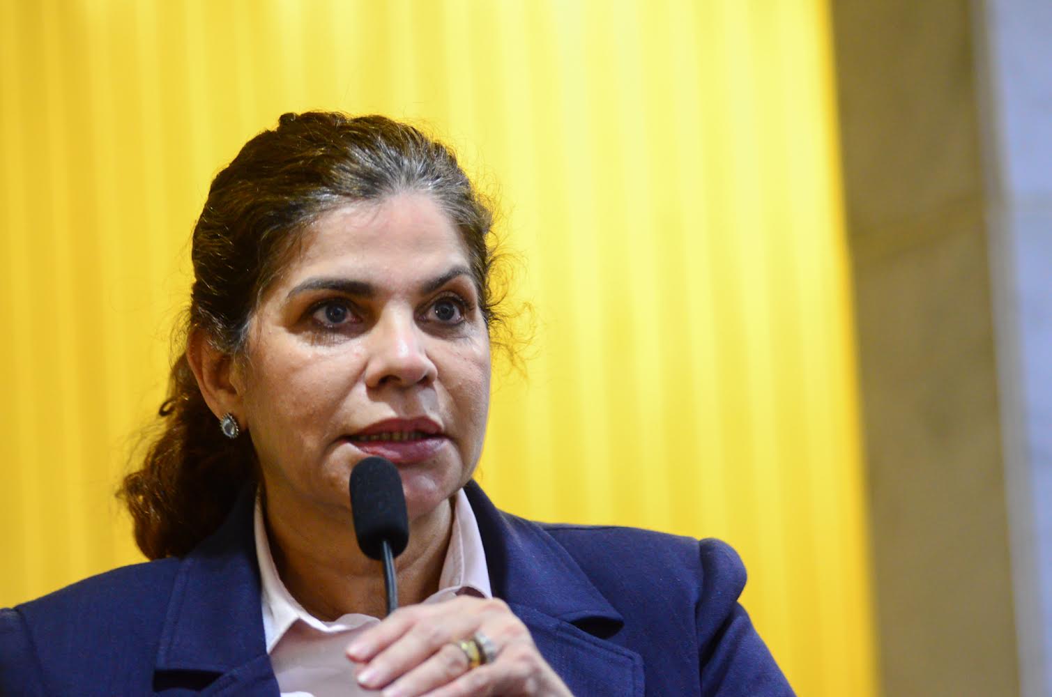 Deputada pede reforço no combate à violência contra mulher