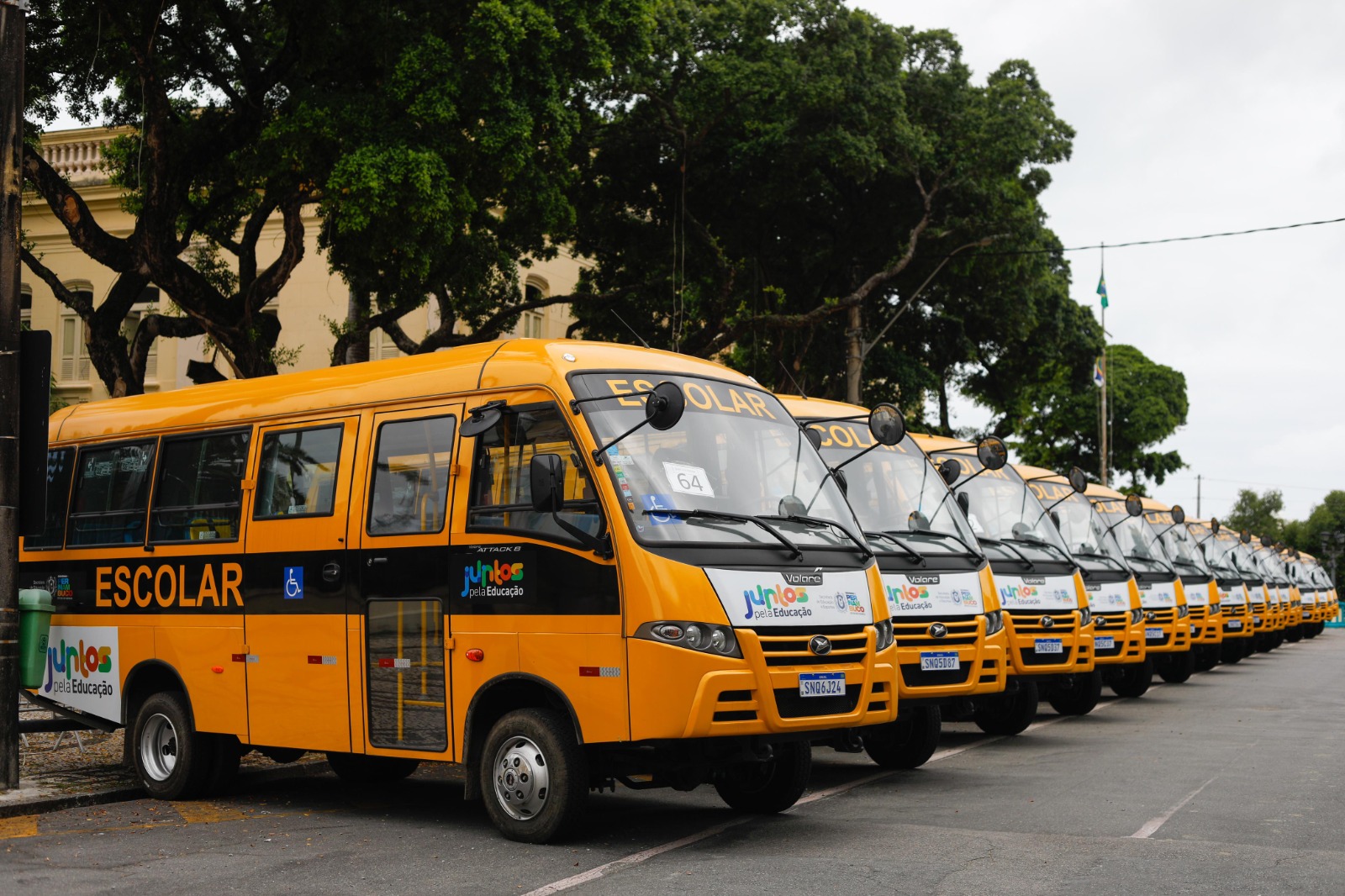 Governo do Estado entrega 81 novos ônibus escolares a municípios