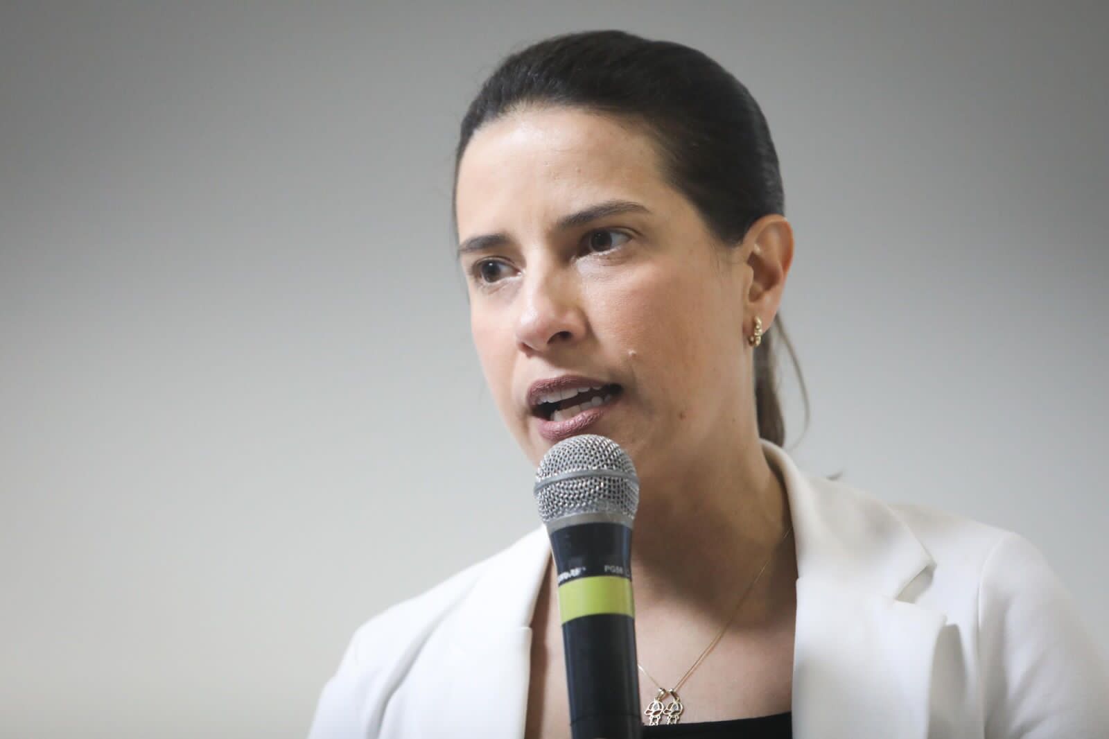 Ação de Raquel no STF tem pontos sensíveis para Palácio e Alepe; entenda