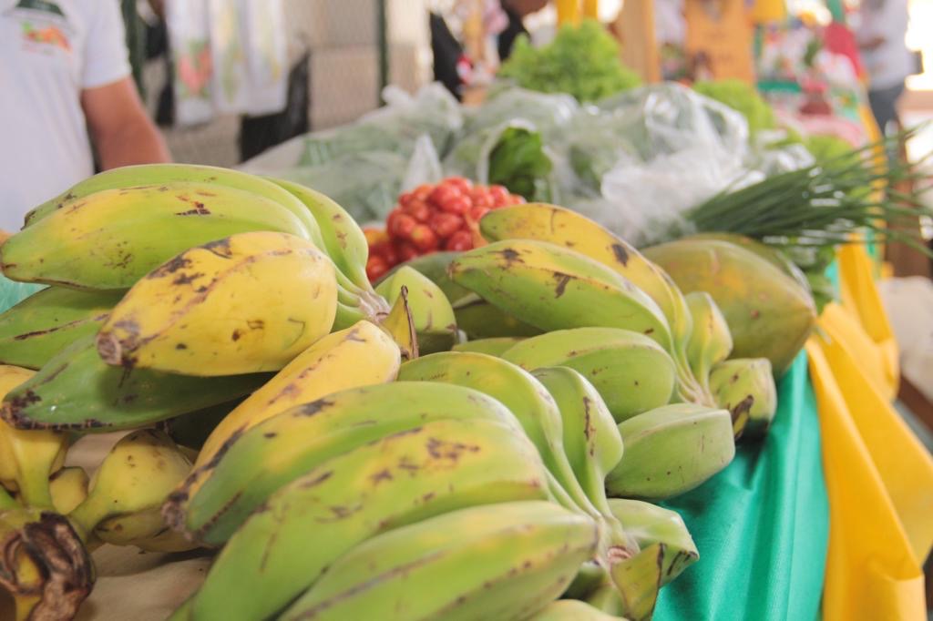 Raquel investe em alimentação da agricultura familiar no Palácio
