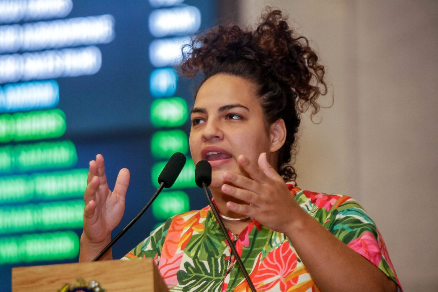 Rosa diz que sua candidatura é prioridade para o MST no país 