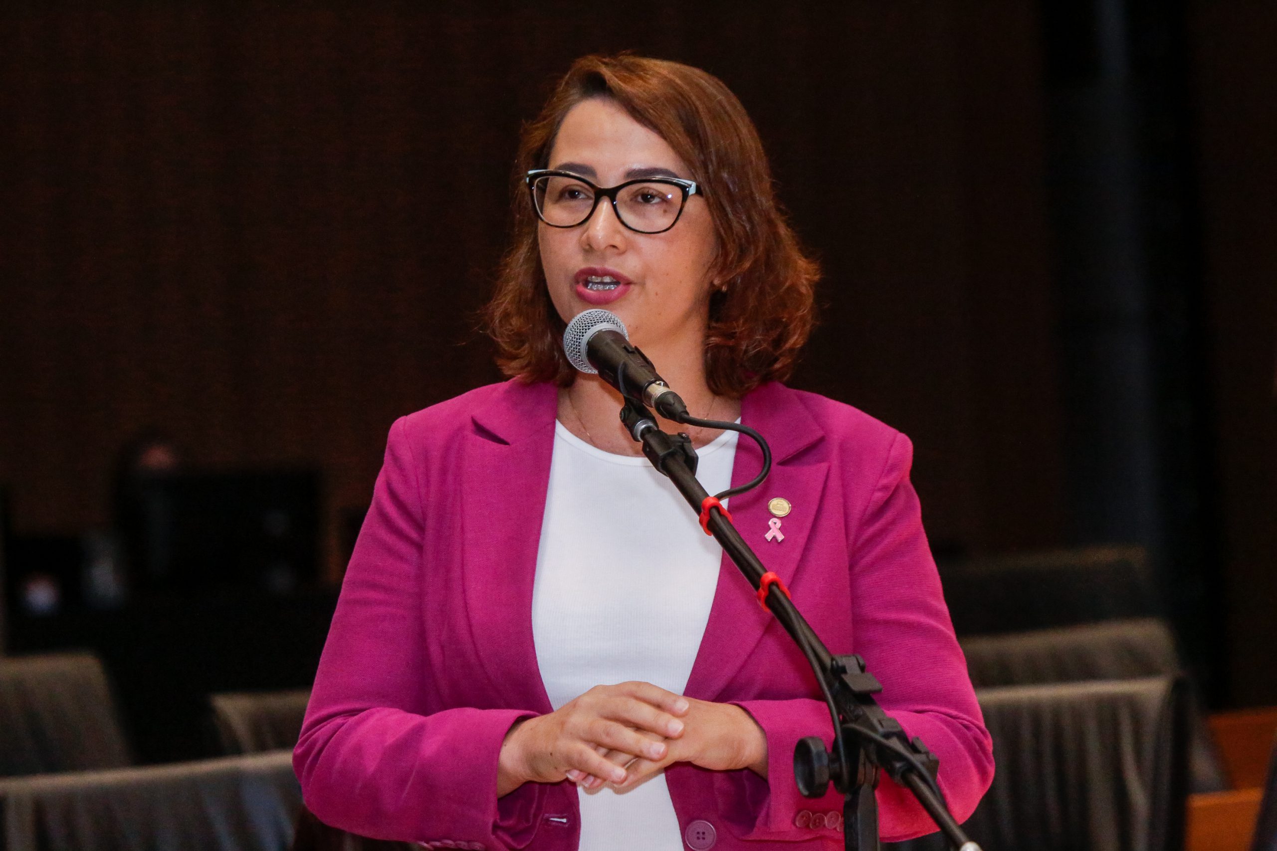 Deputada Débora Almeida repudia declarações de Álvaro Porto 