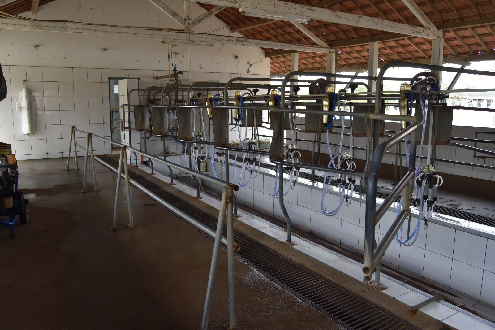 Estado publica decreto com benefícios fiscais para a Bacia Leiteira 