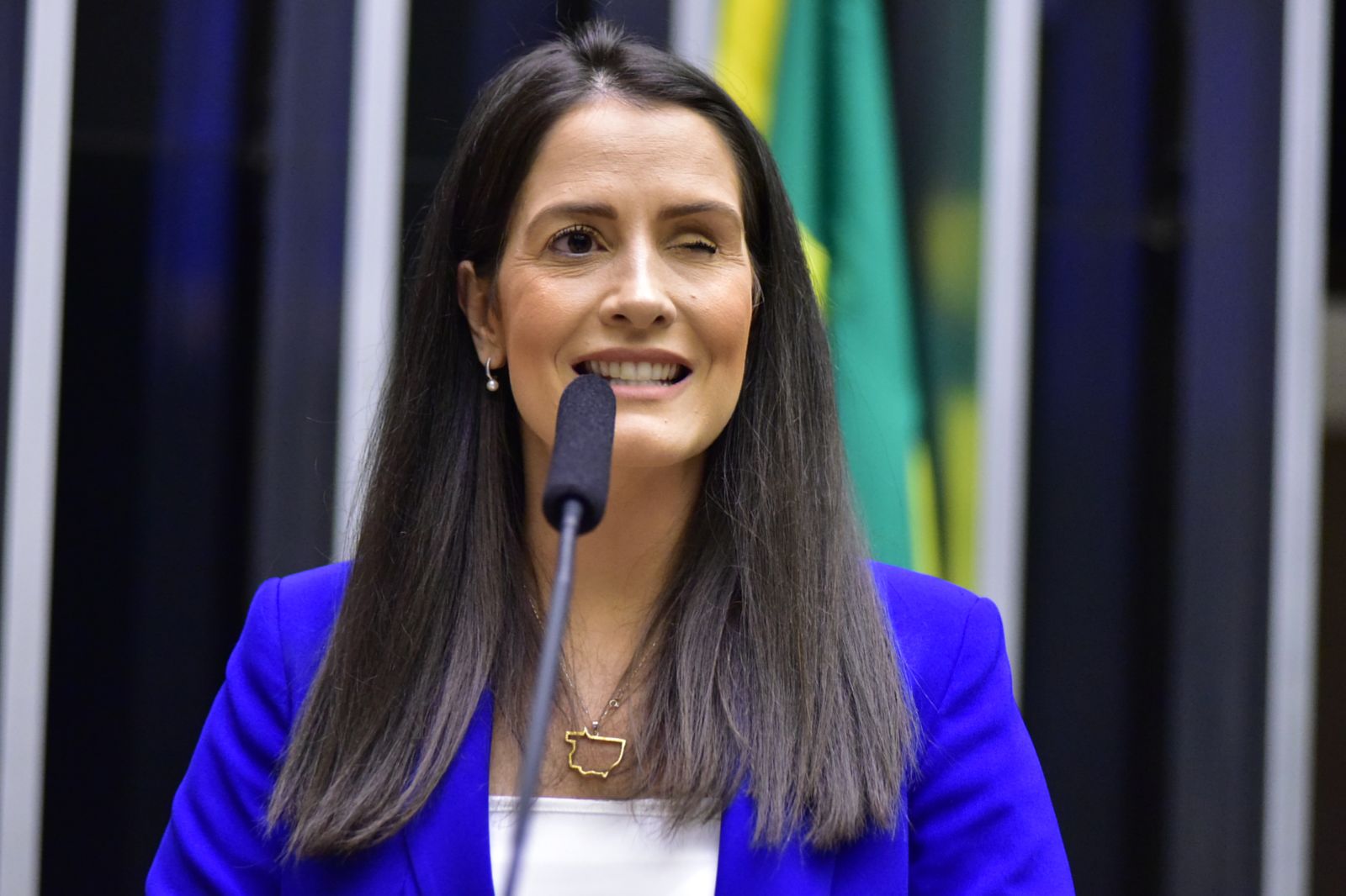 Morre aos 39 anos deputada federal Amália Barros