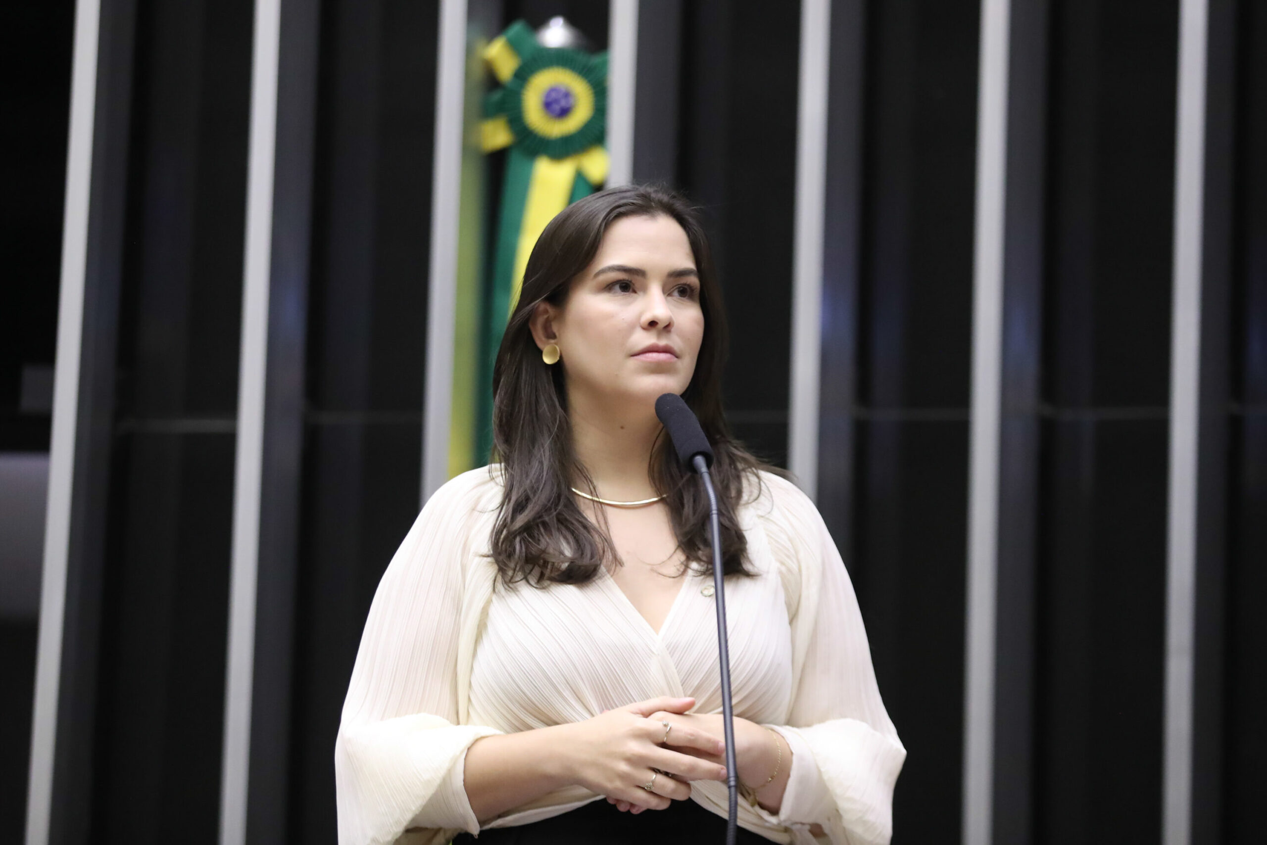 Maria Arraes apresenta projeto para redução da morbimortalidade materna