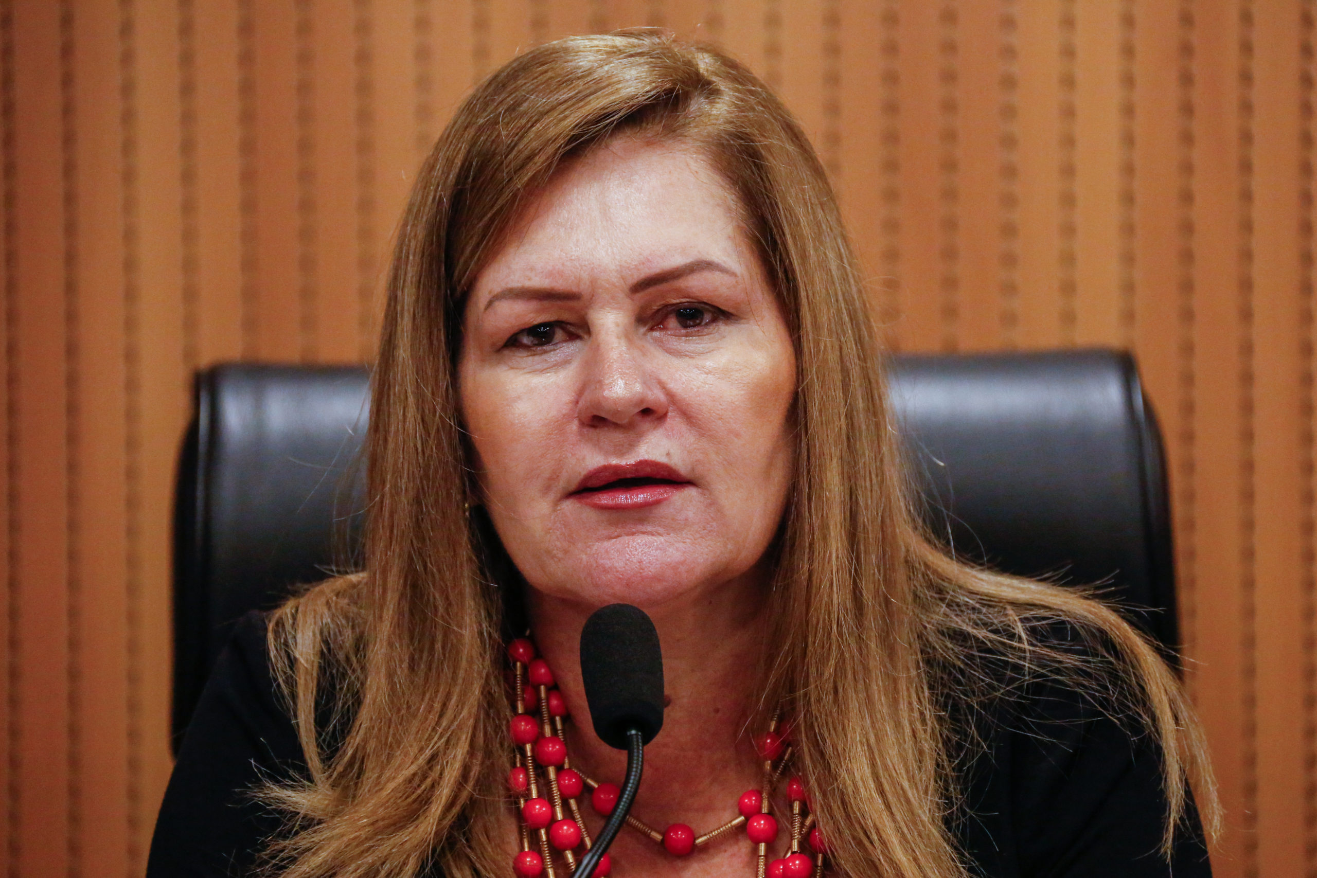 Roberta Arraes assume primeira suplência do PP na Alepe 