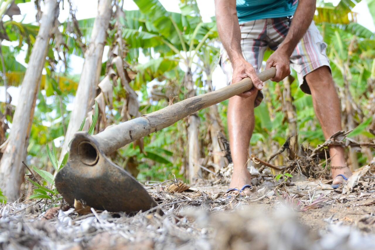 Valor contratado por agricultores familiares no BNB dobra em quatro anos 