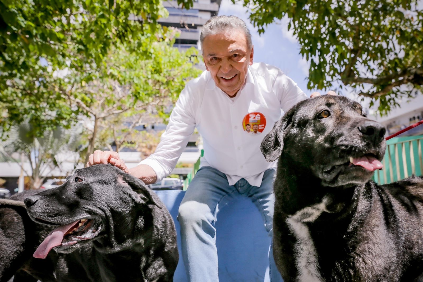 Queiroz diz que vai criar Hospital Veterinário público em Caruaru