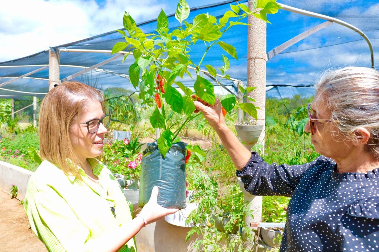 Programa PE Produz recebe projetos até esta sexta (22)