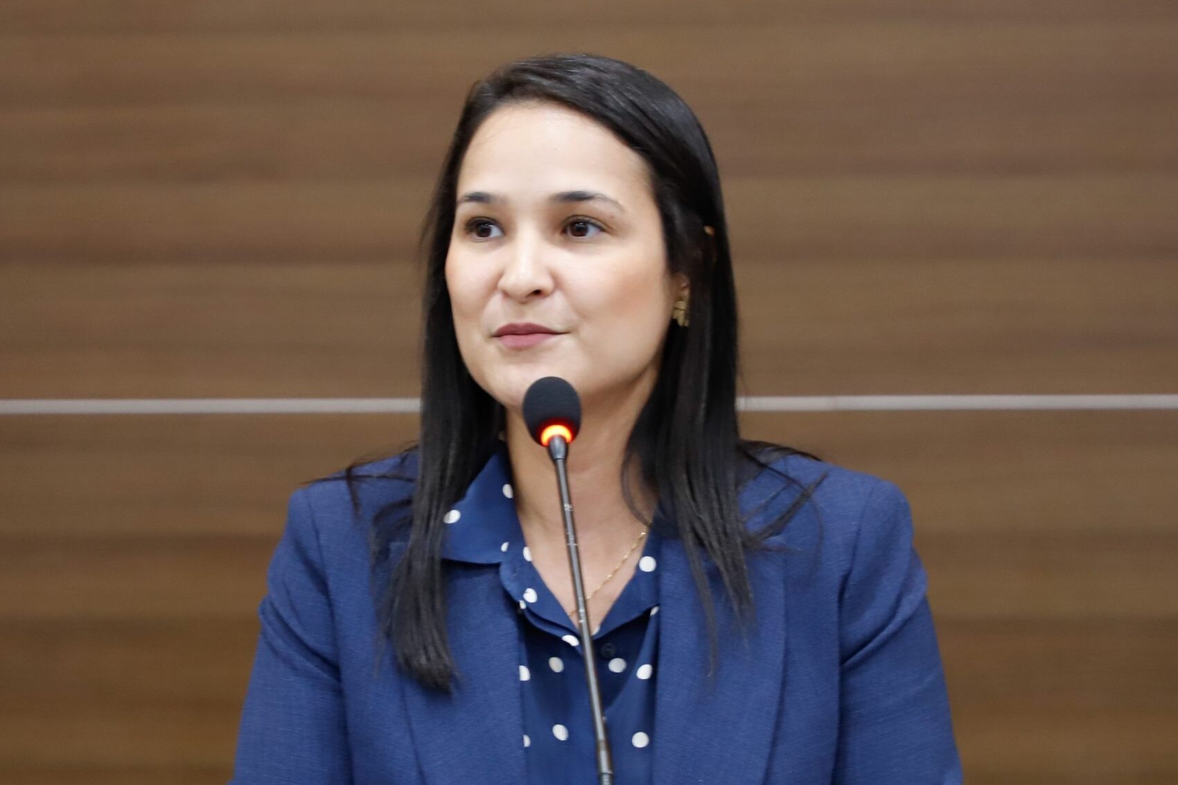 Campanha de Ingrid esclarece presença de observador na eleição da OAB-PE