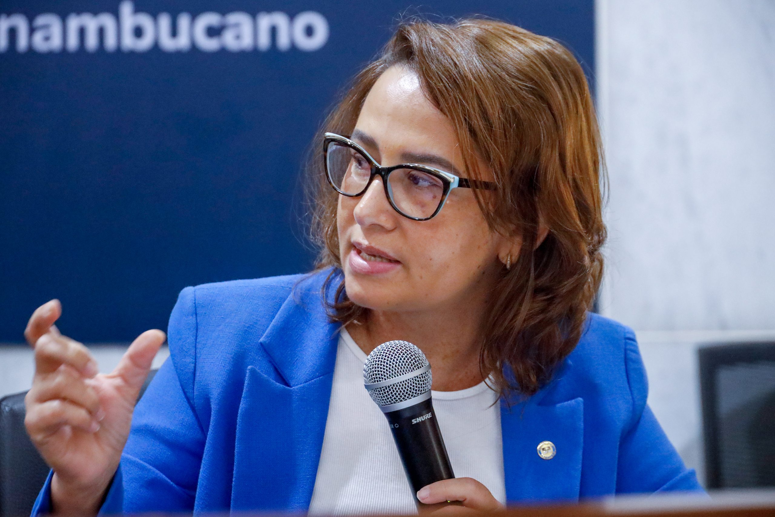 Sob relatoria de Débora, Alepe aprovou orçamento histórico em PE para 2025