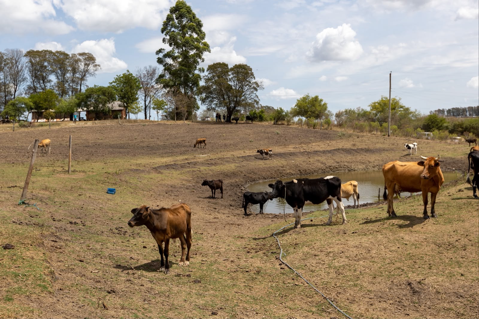 Pernambuco decreta situação de emergência em 75 municípios afetados pela estiagem