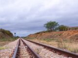 Decisão do TCU destrava novas etapas da Transnordestina entre Salgueiro e Suape
