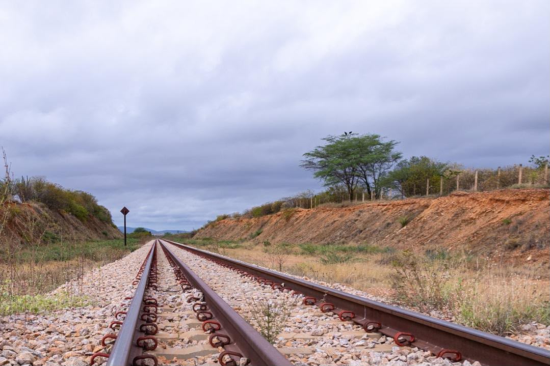 Decisão do TCU destrava novas etapas da Transnordestina entre Salgueiro e Suape