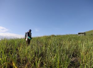 Com investimento de R$ 14,3 milhões, Estado inicia pagamento do Chapéu de Palha