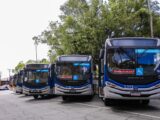 TRE-PE garante retorno gratuito sem exigência do bilhete de ida
